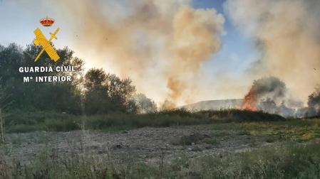 Calcinada media hectárea de arboleda y monte bajo en Santacara