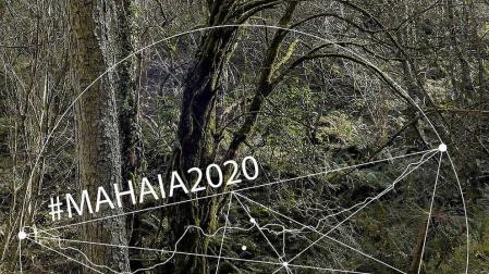 El Horno de la Ciudadela acoge de jueves a sábado tres encuentros culturales en torno a la exposición “#Mahaia2020”, que finaliza este próximo domingo