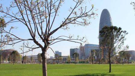 Llega a la Ciudad Condal este lunes el primer Summit Barcelona