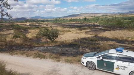 Sofocado un incendio forestal en Cintruénigo
