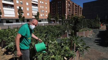 La huerta, un espacio que une al barrio