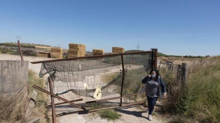 Denuncian el asalto a una ganadería para provocar la huida de sus toros