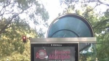 Pamplona se suma a la campaña 'El mieloma múltiple toma la calle'