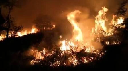 Un incendio quema cinco hectáreas de matorral en Narbarte