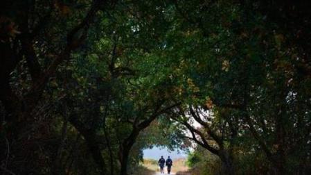 Una imagen tomada en Navarra, segundo premio del concurso 'Camino Sostenible'