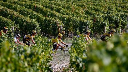 Ningún positivo por COVID-19 en la segunda semana del Tour de Francia