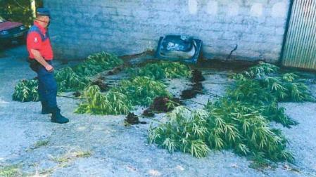 Detenido en Lesaka por tráfico de drogas y agredir a un policía foral