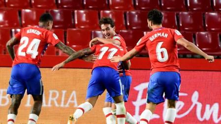 Jugadores del Granada celebran uno de los goles del partido.