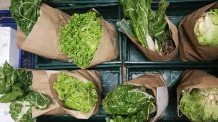 Cestas alimentos