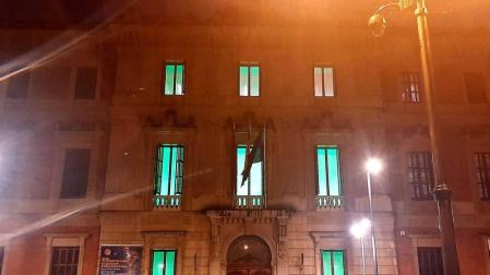 El Parlamento de Navarra se tiñe de verde por el Día Mundial del Farmacéutico