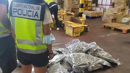 Cae banda que traficaba con armas y drogas ocultándola entre comida india