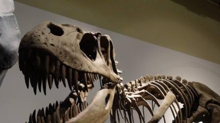 Del elefante al dinosaurio; tiempos heroicos para la ciencia