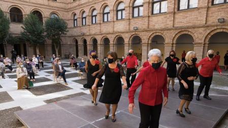 Tudela celebra el Día de los Mayores con poesía, baile y plantando un olivo
