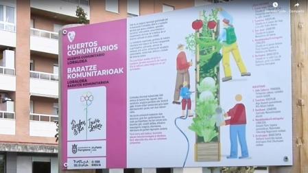 Echavacioz contará con medio centenar de huertas urbanas para final de año