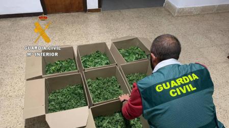 Dieciséis detenidos de una red de tráfico de drogas entre España y Francia