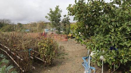 Un informe insta a eliminar las 14 huertas 'okupas' de Echavacoiz