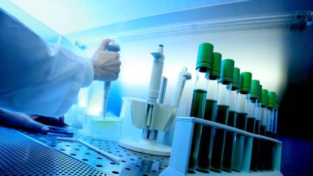 Desarrollan una nueva vacuna terapéutica para tratar la leucemia