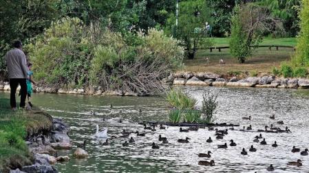 Mendillorri, un vaciado controvertido