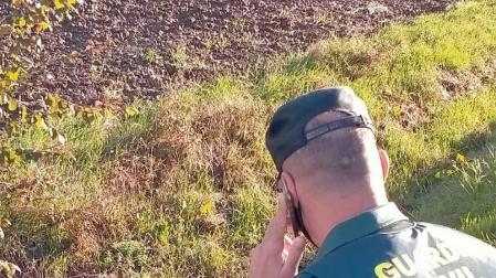 Rescatado un jabalí herido en Arazuri