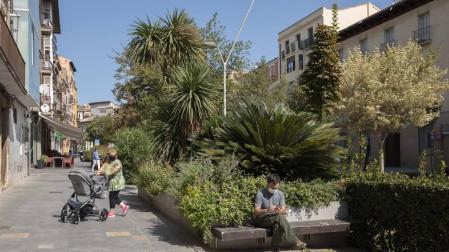Tudela adjudica el servicio de parques y jardines para 5 años por 4,8 millones