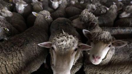 Las imágenes más llamativas de las últimas horas