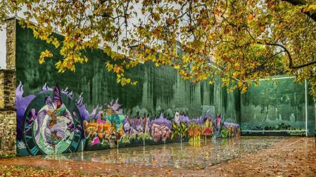 Galería con las 15 finalistas de este año 2020