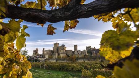 Fotografía ganadora Patrimonio 2020 'Olite, un pueblo para enmarcar'