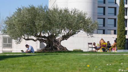 Diez grados de la Universidad de Navarra, entre los mejores de España