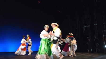 Conciertos y festival de las naciones con motivo del Día de Navarra