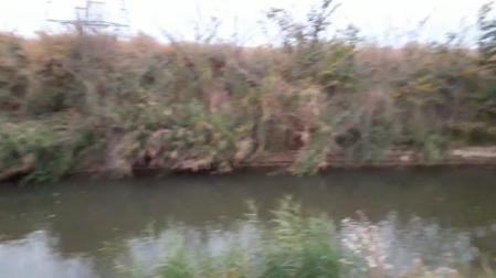 Vídeo: Coche accidentado en el Canal de Lodosa