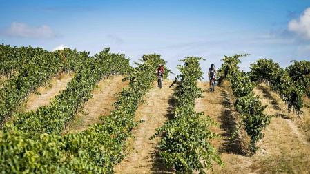 Reconocimiento nacional a la Ruta del Vino de Navarra