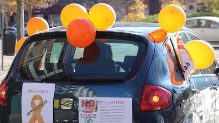 Todas las fotos de la manifestación contra la ley Celaá celebrada este domingo en Pamplona