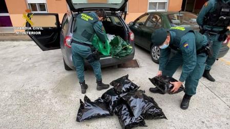 Detenido por tráfico de drogas en Cizur e incautados 8,8 kilos de marihuana