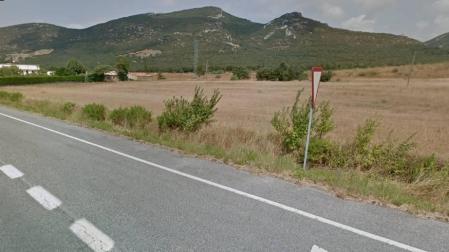 Una persona herida en dos accidentes con jabalíes en Valtierra y Unzué