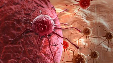 Células tumorales y de cáncer