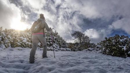 Municipios del Pirineo navarro amanecen con la primera nevada de la temporada