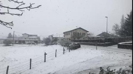 Vídeo de las nevadas en Lizaso