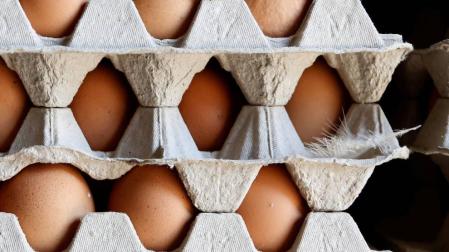 El consumo de cuatro huevos a la semana es saludable para el corazón
