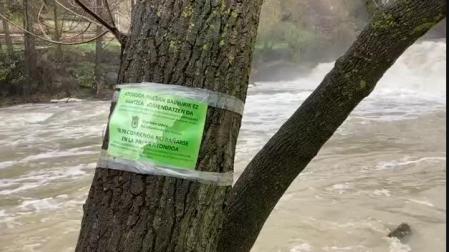 Vídeo: Crecida del río Arga en Huarte