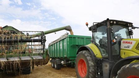 Cosecha de cereal: rica en la Cuenca de Pamplona y mísera en la Ribera