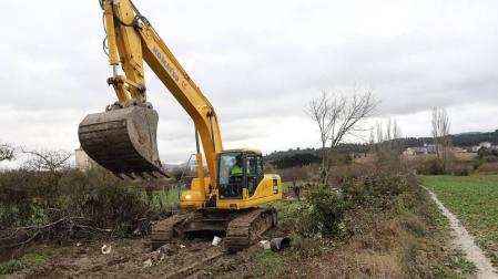 El Ayuntamiento de Pamplona elimina 13 cultivos ilegales situados sobre un viario público