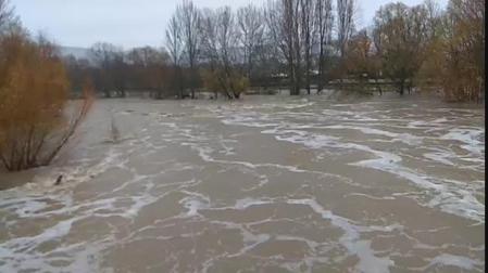 Vídeo del río Arga en la zona del molino de Caparroso