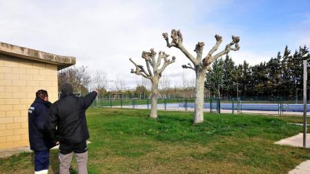 Santacara gestionará en 2021 un presupuesto de 1,4 millones