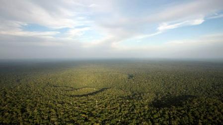 El Amazonas, amenazado por un círculo vicioso de sequía y deforestación