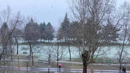 La nieve cae sobre Pamplona a primera hora de la mañana