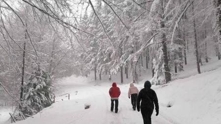 Las nevadas disminuyen este martes en Navarra, pero el intenso frío continuará