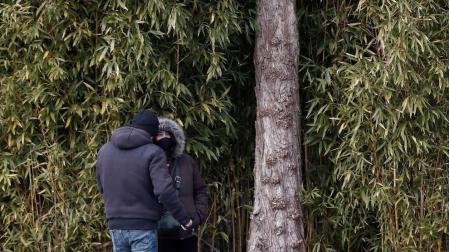 Pamplona activa su Plan de Actuación de Nevadas ante la llegada de 'Filomena'