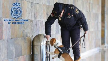 Detenido en la estación de autobuses de Pamplona por un delito de tráfico de drogas