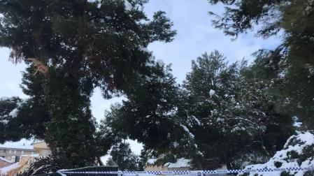 Cascante cierra el acceso a dos de sus parques por el riesgo de derribo de árboles