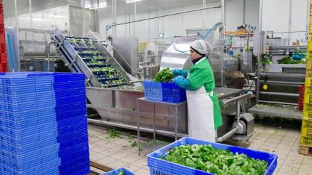La producción industrial se dispara un 5,9% en febrero y encadena 4 meses en positivo
